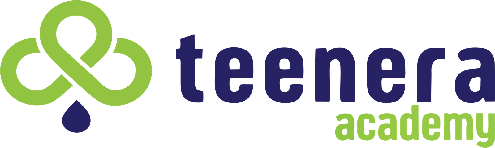 Teenera Academy