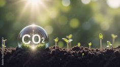 Masa Depan Ada di Tangan Anda: Mulai dari Pelatihan Emisi Teenera