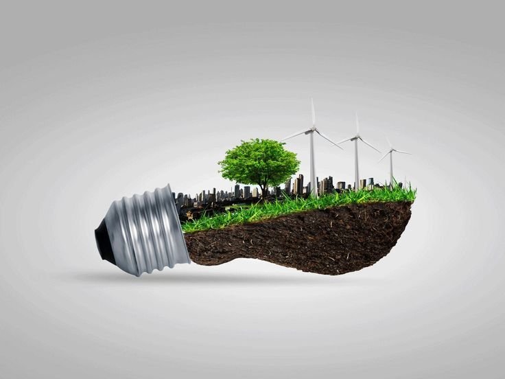 Pelatihan Teenera: Edukasi Komprehensif tentang Emisi dan Aksi Keberlanjutan