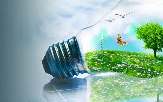 Emisi: Dari Masalah Lingkungan Menuju Kesadaran dan Aksi Melalui Pelatihan Teenera